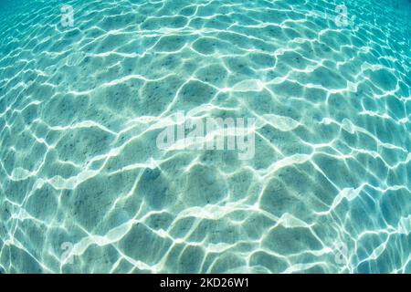 Bright sunlight dances across a shallow, sandy seafloor. Stock Photo