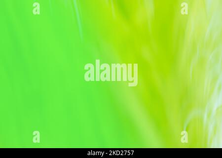 Green blurred background with copy space. Green  blurry unfocused photographic effect. Stock Photo