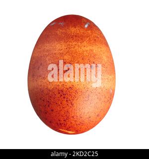 Brown Speckled Copper Maran Hen Egg On a Transparent Background: Brown heritage egg isolated on a transparent background Stock Photo