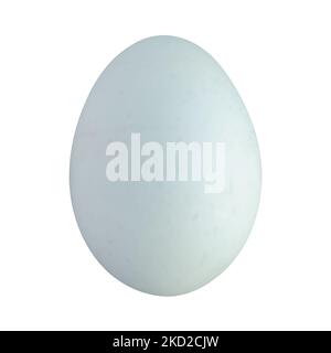 Light Blue Speckled Legbar Hen Egg On a Transparent Background: Pale blue heritage egg isolated on a transparent background Stock Photo