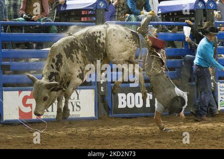 Rodeo Fails