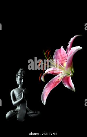 Studio Photograph of Oriental Pink Lily  and Buddha Stock Photo