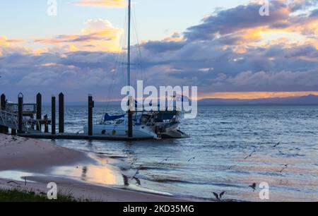 Cloudy late sunset over the ocean with catamaran sailboat with British flag moored at dock and gulls feeding near shore Stock Photo