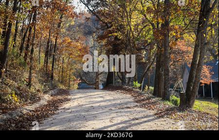 Country dirt road in autum with golden hour sun on colorful leaves and old farm house to side and sign saying Slow Grandchildren Playing Stock Photo
