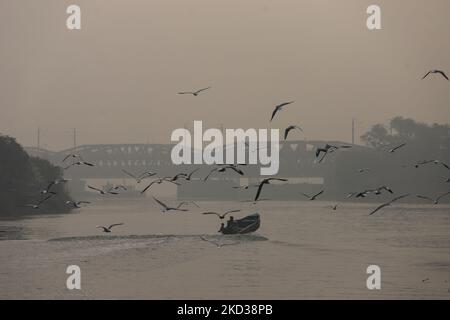 New Delhi, India. 5th Nov, 2022. Seagulls fly near the banks of the Yamuna River amid heavy smog at India Gate in New Delhi Delhi's air quality remains ''severe'', accounting for 30 per cent of the PM2.5 pollution in the capital, Air Quality Index (AQI) at Noida (UP) is 529, 478 in Gurugram (Haryana) and 534 near Dhirpur, all in 'Severe' category. (Credit Image: © Amarjeet Kumar Singh/SOPA Images via ZUMA Press Wire) Credit: ZUMA Press, Inc./Alamy Live News Stock Photo