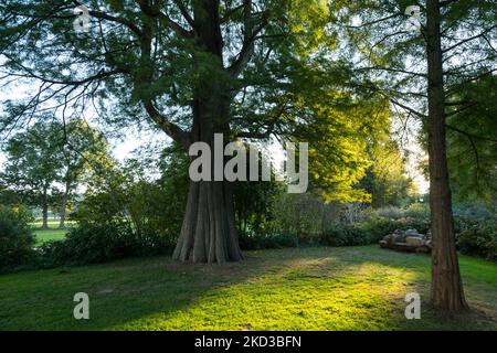 castle Muskau and park,Bad Muskau, Germany Stock Photo