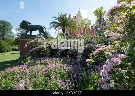 castle Muskau and park,Bad Muskau, Germany Stock Photo