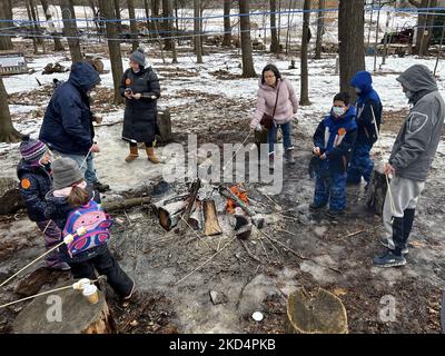 People toasting marshmallows by a small campfire while visiting the sugarbush at a maple syrup farm during the Maple Sugar Festival in Mount Albert, Ontario, Canada, on March 05, 2022. The Maple Sugar Festival celebrates maple syrup production and products made with maple syrup and takes part at many maple syrup producing farms across Ontario and Quebec. Maple syrup is only produced in North America. (Photo by Creative Touch Imaging Ltd./NurPhoto) Stock Photo