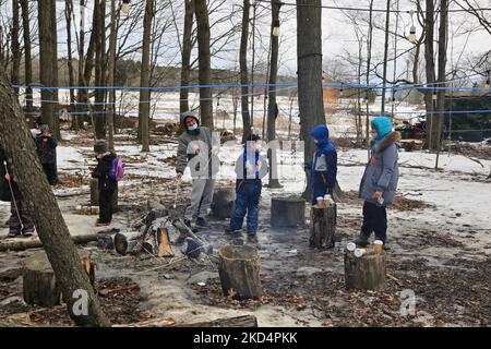 People toasting marshmallows by a small campfire while visiting the sugarbush at a maple syrup farm during the Maple Sugar Festival in Mount Albert, Ontario, Canada, on March 05, 2022. The Maple Sugar Festival celebrates maple syrup production and products made with maple syrup and takes part at many maple syrup producing farms across Ontario and Quebec. Maple syrup is only produced in North America. (Photo by Creative Touch Imaging Ltd./NurPhoto) Stock Photo