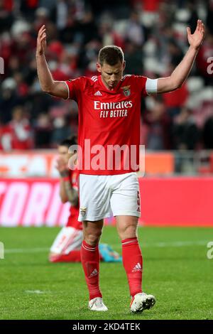 Jan Vertonghen of SL Benfica reacts at the end of the Portuguese League football match between SL Benfica and FC Vizela at the Luz stadium in Lisbon, Portugal on March 11, 2022. (Photo by Pedro FiÃºza/NurPhoto) Stock Photo