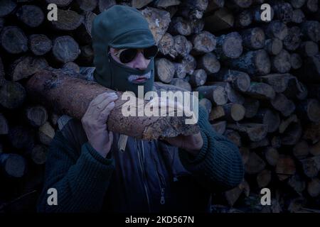 In the moonlight the wood thief steals firewood in the forest. Stock Photo