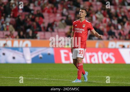 Messaged Benfica's Henrique Araújo about his wonder season arriving  mid-season to give 1860 the third division title. : r/footballmanagergames