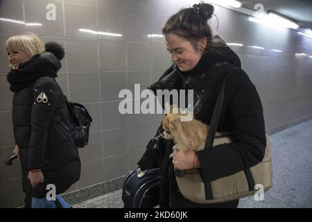 Woman with a dog, Ukrainians who just arrived in Przemysl are seen with their pets. Refugees from Ukraine arrive in Poland by train in the night. Civilians from Ukraine who fled the country at the railway station, they register and then travel further into Poland and Europe while volunteers, Polish armed forces and NGOs provide them assistance. Refugees fleeing from Ukraine after the Russian invasion, are seen in Przemysl railway station disembarking the train to get further to Poland or other European countries. People arrive from Medyka - Shehyni border crossing, where most of them cross the Stock Photo