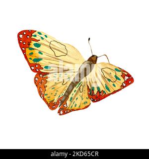 Butterfly yellow orange a watercolor hand drawn Stock Photo