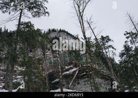 Fallen trees after strong wind in Tatra Mountains during winter season Stock Photo