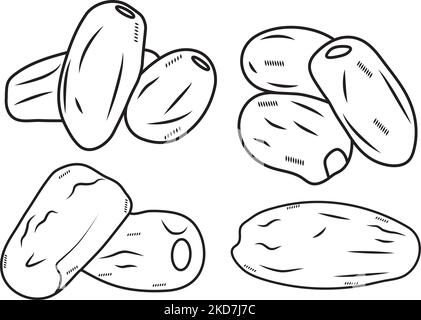 Vector  Illustration of Date Fruit. Phoenix Dried Fruit. logo , symbol, icon for web and print Stock Vector