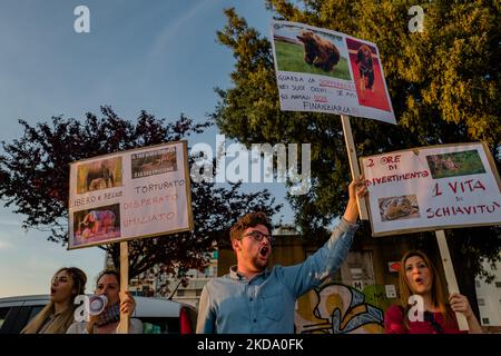 Volunteers show signs during the protest against the exploitation of animals in the Orfei circus of Molfetta on May 14, 2022. Sit-in protest against the exploitation of animals in entertainment shows, near the settlement area of ??the Orfei circus, currently present in the city of Molfetta. The garrison involved a group of citizens of Molfetta, led by the volunteers of the animal rights association 'Lo Stregatto - Molfetta'(Photo by Davide Pischettola/NurPhoto) Stock Photo