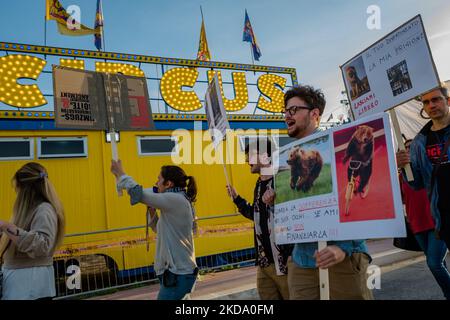 Volunteers show signs during the protest against the exploitation of animals in the Orfei circus of Molfetta on May 14, 2022. Sit-in protest against the exploitation of animals in entertainment shows, near the settlement area of ??the Orfei circus, currently present in the city of Molfetta. The garrison involved a group of citizens of Molfetta, led by the volunteers of the animal rights association 'Lo Stregatto - Molfetta'(Photo by Davide Pischettola/NurPhoto) Stock Photo