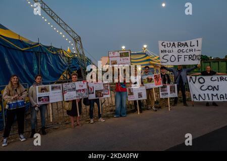 Volunteers show signs during the protest against the exploitation of animals in the Orfei circus of Molfetta on May 14, 2022. Sit-in protest against the exploitation of animals in entertainment shows, near the settlement area of ??the Orfei circus, currently present in the city of Molfetta. The garrison involved a group of citizens of Molfetta, led by the volunteers of the animal rights association 'Lo Stregatto - Molfetta'(Photo by Davide Pischettola/NurPhoto) Stock Photo