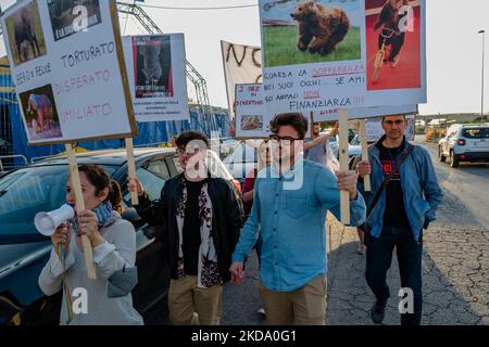 Volunteers show signs during the protest against the exploitation of animals in the Orfei circus of Molfetta on May 14, 2022. Sit-in protest against the exploitation of animals in entertainment shows, near the settlement area of ??the Orfei circus, currently present in the city of Molfetta. The garrison involved a group of citizens of Molfetta, led by the volunteers of the animal rights association 'Lo Stregatto - Molfetta'(Photo by Davide Pischettola/NurPhoto) Stock Photo