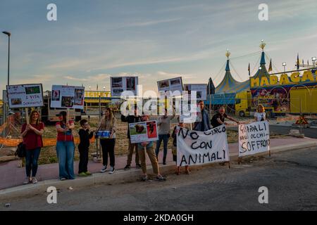 Volunteers show signs during the protest against the exploitation of animals in the Orfei circus of Molfetta on May 14, 2022. Sit-in protest against the exploitation of animals in entertainment shows, near the settlement area of ??the Orfei circus, currently present in the city of Molfetta. The garrison involved a group of citizens of Molfetta, led by the volunteers of the animal rights association 'Lo Stregatto - Molfetta'(Photo by Davide Pischettola/NurPhoto) Stock Photo