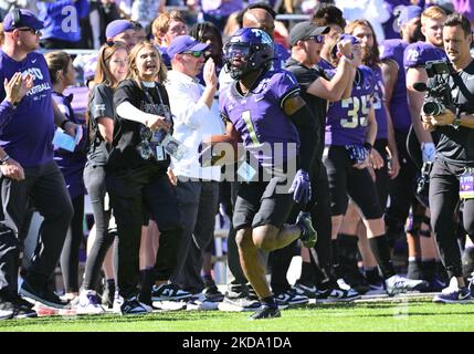 Fort Worth, Texas, USA. 5th Nov, 2022. TCU Horned Frogs cornerback Tre'Vius Hodges-Tomlinson (1) celebrates an interception during the 2nd half of the NCAA Football game between the Texas Tech Red Raiders and the TCU Horned Frogs at Amon G. Carter Stadium in Fort Worth, Texas. Matthew Lynch/CSM/Alamy Live News Stock Photo