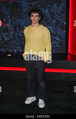 BROOKLYN, NEW YORK - MAY 14: Jack Dylan Grazer attend Netflix's 'Stranger Things' Season 4 Premiere at Netflix Brooklyn on May 14, 2022 in Brooklyn, New York. (Photo by John Nacion/NurPhoto) Stock Photo