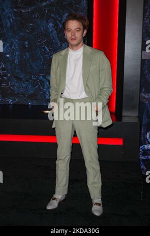 BROOKLYN, NEW YORK - MAY 14: Charlie Heaton attend Netflix's 'Stranger Things' Season 4 Premiere at Netflix Brooklyn on May 14, 2022 in Brooklyn, New York. (Photo by John Nacion/NurPhoto) Stock Photo