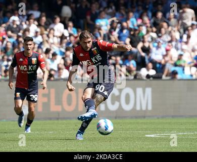 Genoa, Italy. 30 April 2022. Manolo Portanova of Genoa CFC in action during  the Serie A football match between UC Sampdoria and Genoa CFC. Credit:  Nicolò Campo/Alamy Live News Stock Photo - Alamy