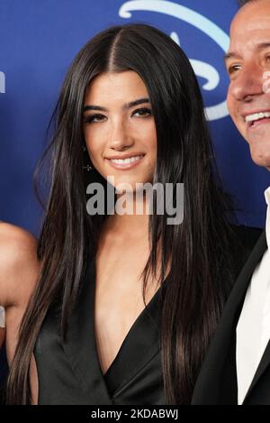 NEW YORK, NEW YORK - MAY 17: Charlie D'Amelio attends the 2022 ABC
