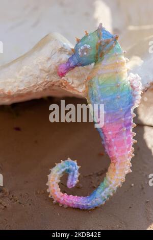 a decorative rainbow seahorse stands on the beach on a sunny day, near a large seashell Stock Photo