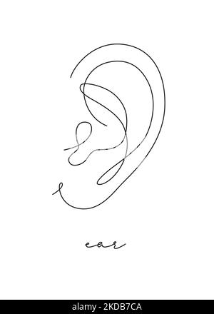 The Art of Ears : r/tumblr