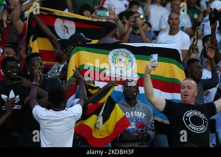 Fans of Uganda during the 2023 Africa Cup of Nations qualifier soccer match between Algeria and Uganda at the July 5, 1962 stadium in Algiers, Algeria, June 4, 2022. (Photo by APP/NurPhoto) Stock Photo