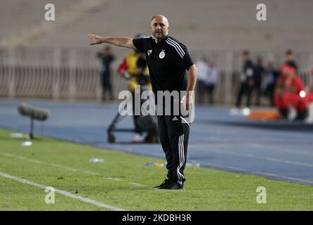 Algerian coach Djamel Belmadi during the 2023 Africa Cup of Nations qualifying soccer match between Algeria and Uganda at the July 5, 1962 stadium in Algiers, Algeria, June 4, 2022. (Photo by APP/NurPhoto) Stock Photo