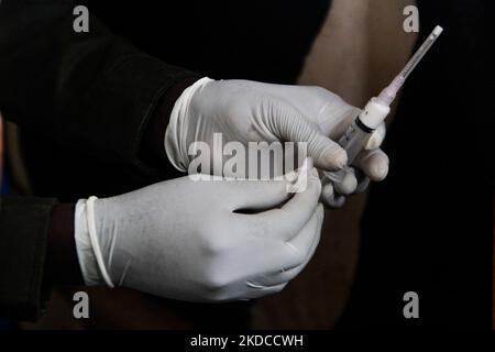 A veterinarian prepares the Aftopor mouth and nail disease (FMD) vaccine for livestock on June 20, 2022, in Cilembu, Sumedang Regency, West Java, Indonesia. The West Java government targets that in the first week it can provide Mouth and Nail Disease Vaccination (PMK) for 2,000 cows in five West Java cattle farming locations such as Bandung Regency, West Bandung Regency, Garut, Kuningan, and Sumedang. (Photo by Algi Febri Sugita/NurPhoto) Stock Photo