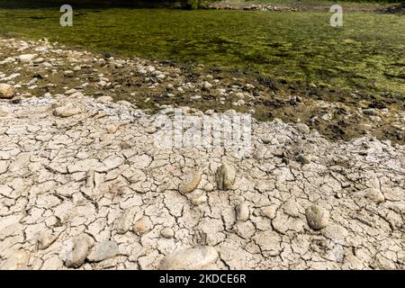 The Orco torrent, a tributary of the Po, suffering from an extreme reduction in the flow of water due to the drought is seen in the Chivasso area, in the province of Turin.The lack of water in the Po river basin has not been mitigated by the weak spring rains. After a consistent period of drought, the Po river and its basin have a water flow rate of less than half the normal. Long-term forecasts do not indicate that in the short term the weather will change with persistent precipitation. Drought is not an unusual phenomenon, but the frequency with which it recurs in recent years is also becomi Stock Photo