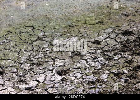 The Orco torrent, a tributary of the Po, suffering from an extreme reduction in the flow of water due to the drought is seen in the Chivasso area, in the province of Turin.The lack of water in the Po river basin has not been mitigated by the weak spring rains. After a consistent period of drought, the Po river and its basin have a water flow rate of less than half the normal. Long-term forecasts do not indicate that in the short term the weather will change with persistent precipitation. Drought is not an unusual phenomenon, but the frequency with which it recurs in recent years is also becomi Stock Photo