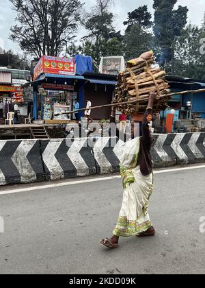 Woman carries a large bundle of firewood on her head as she walks to her home in Kodaikanal, Tamil Nadu, India, on May 16, 2022. (Photo by Creative Touch Imaging Ltd./NurPhoto) Stock Photo