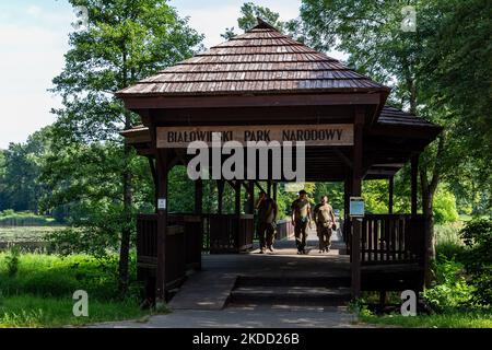 The gate of Bialowieski National Park is seen open for tourist for the first time since September 2021 when Poland prohibited entering the zone near Belarus border - July 1, 2022 in Bialowieza, Poland. The ban was lifted as Poland build a 186 kilometers long and 5.5 meter high steel barrier with barbed wire on the Polish - Belarus border, which is as well the border of the European Union and NATO. The decision was made after thousands of migrants, mainly from Syria, Iraq and Afghanistan tried to cross into Poland from Belarus. Part of the barrier passes through Bialowieza forest. The decision  Stock Photo
