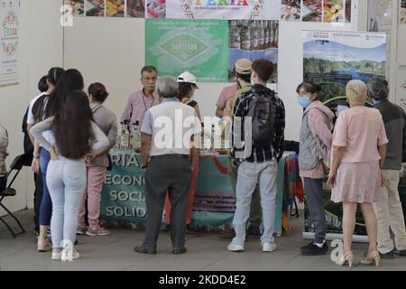 Visitors to the inauguration of the Fair of Artisanal and Sustainable Products in the esplanade of the Macroplaza Cuitláhuac in Iztapalapa, Mexico City, where more than 40 exhibitors and producers from the interior of the Mexican Republic, who are part of the federal programmes Sembrando Vida and Conservación de Áreas Naturales, are participating. The purpose of this fair is to bring their environmentally friendly production methods to Mexico City, with the added value that the consumption of the whole variety of artisanal foods and derivatives strengthens the economy of the regions and farmin Stock Photo