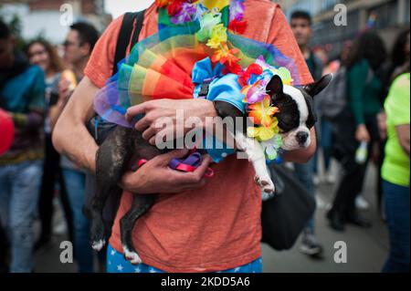 A demonstrator carries his dog decorated with a pride allusive dressd uring the international Pride parade celebrations in Bogota, Colombia, on July 3, 2022. Colombia celebrates the international pride parade the closest sunday to the international event to gather the most amount of members of the LGTBIQ+ Community. (Photo by Sebastian Barros/NurPhoto) Stock Photo