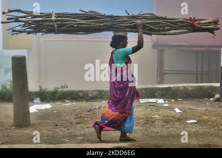 Woman carries a large bundle of wood on her head in the Poombarai Village in Kodaikanal, Tamil Nadu, India, on May 17, 2022. The Poombarai village is located in the heart of the Palani hills at an elevation of around 6300 feet above sea-level. (Photo by Creative Touch Imaging Ltd./NurPhoto) Stock Photo