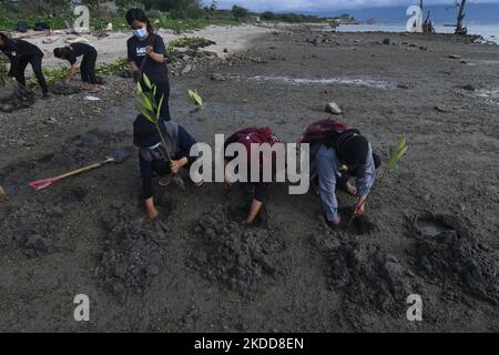 Residents plant mangrove tree seedlings on the Palu Bay Coast in Palu, Central Sulawesi Province, Indonesia, Saturday (6/7/2022). The planting of 2,000 mangrove seedlings by the local government together with the community and volunteers is carried out as a form of environmental concern as well as an effort to minimize the risk of abrasion and tsunami disasters and reduce the impact of the climate crisis. (Photo by Mohamad Hamzah/NurPhoto) Stock Photo