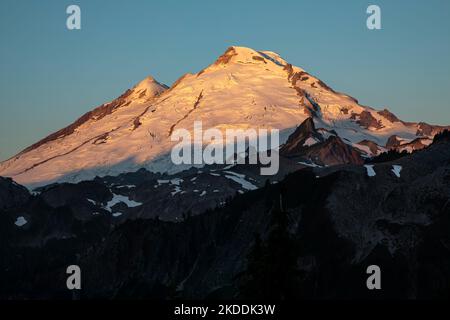 WA22716-00...WASHINGTON - Sunlight on Mount Baker at sunrise viewed from Artist Point in the Heather Meadows Recreation Area in Mount Baker-Snoqualmie Stock Photo