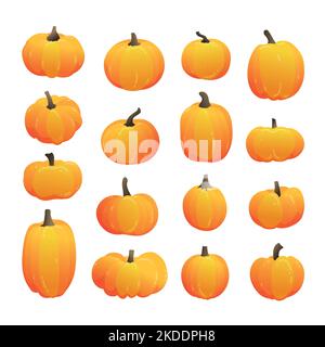 Various shaped pumpkins. Collection of hand drawn, vector illustrations. Stock Vector