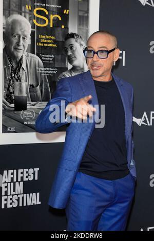 November 4, 2022, Hollywood, California, USA: ROBERT DOWNEY JR. at the premiere of 'S.R.' at the TCL Chinese Theatre IMAX. (Credit Image: © Nina Prommer/ZUMA Press Wire) Stock Photo