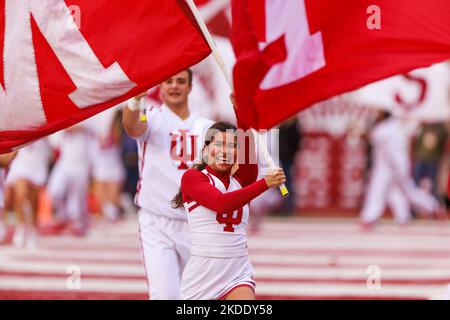Bloomington, United States. 05th Nov, 2022. Indiana University cheerleaders cheer during an NCAA football game against Penn State at Memorial Stadium. The Nittany Lions beat the Hoosiers 45-14. Credit: SOPA Images Limited/Alamy Live News Stock Photo