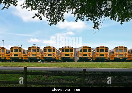 School buses in a car park, Nashville, Tennessee, United States of America Stock Photo