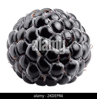 blackberry isolated on white background, clipping path, full depth of field Stock Photo