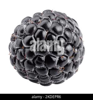 blackberry isolated on white background, clipping path, full depth of field Stock Photo